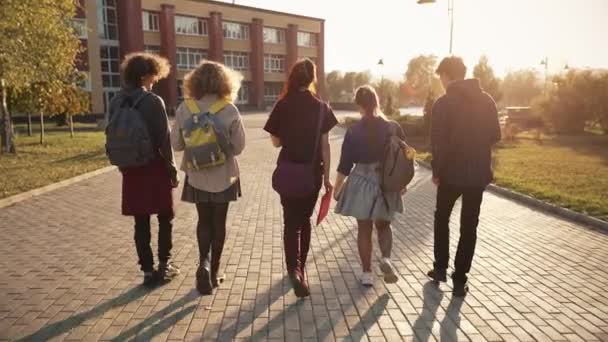 学校に通う学生のグループ — ストック動画