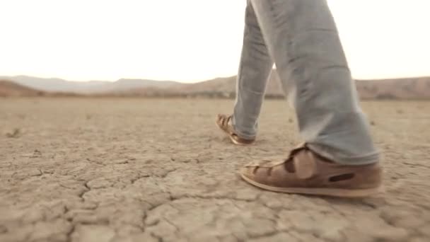 Cansado Deserto — Vídeo de Stock