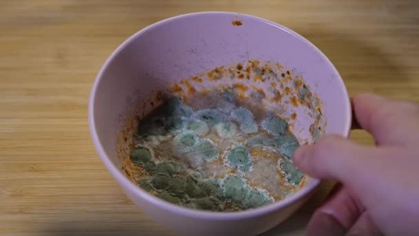 Man Show Moldy Food Plate — Stock Video
