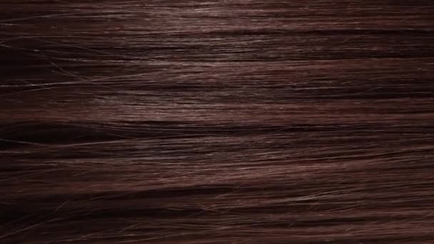 Блискуче Жіноче Довге Коричневе Волосся — стокове відео
