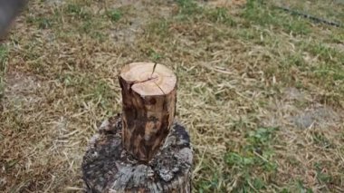 Ağır çekimde odun kesmek. Dışarıda odun kesen bir işçi.