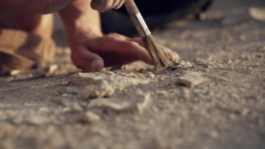 Bir kazı sahasında arkeolog bir bulgudan toprak temizliyor