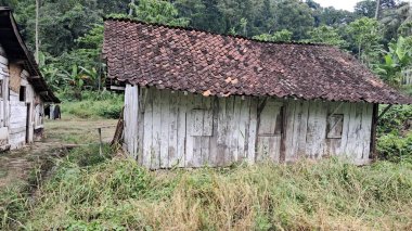 Orman geçmişi olan bir Asya köyü evi.