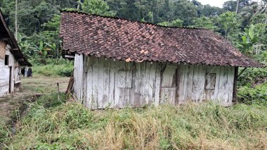 Orman geçmişi olan bir Asya köyü evi.