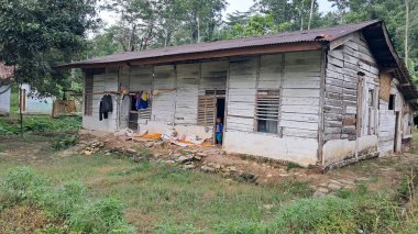 Orman geçmişi olan bir Asya köyü evi.