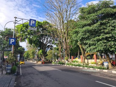 Park tabelası yeşil ağaçlı sokak