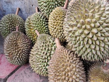 Durian meyve satışı.