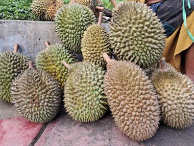 Durian meyve satışı.