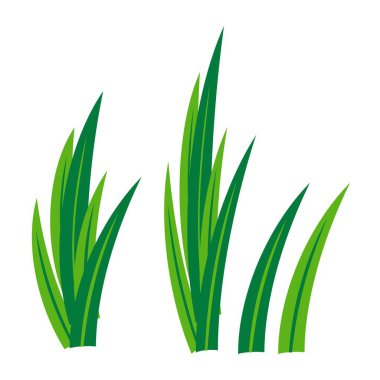 yeşil pandan vektör tasarımı bırakır