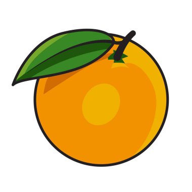 taze turuncu meyve vektör tasarımı