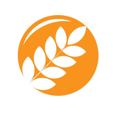 tahıllı pirinç logosu sembolü şablonu