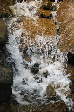 Ormandaki şelale. Dağ deresi. Ormanda şelale.