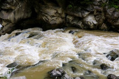 Kayalık kıyıları olan fırtınalı bir dağ nehri..