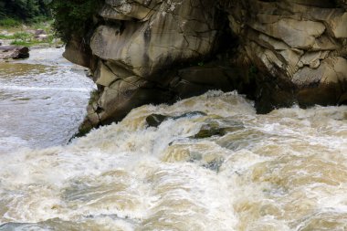 Ormandaki dağ nehri. Nehir ormanın içinden akar..