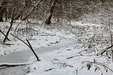 Soğuk bulutlu bir günde donmuş dere manzaralı yoğun kış karlı ormanın manzarası..