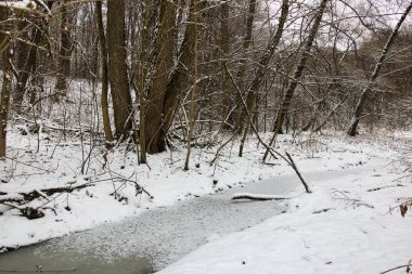Soğuk bulutlu bir günde donmuş dere manzaralı yoğun kış karlı ormanın manzarası..