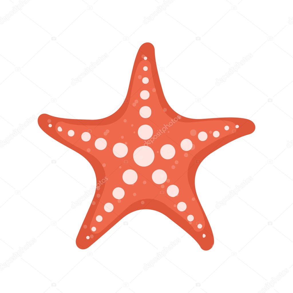 Starfish on isolated white background. Flat style. Vector illustration.