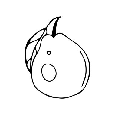 İzole edilmiş beyaz zemin üzerinde Doodle tarzı armut.