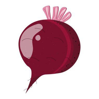 İzole edilmiş beyaz arkaplanda pancar kökü.