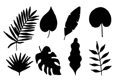 El çizimi tropikal yapraklar. İzole edilmiş arka planda egzotik yaprakların siyah silueti. Vektör.