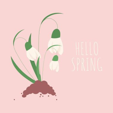 Merhaba Spring. Karlı bahar kartpostalı. Vektör.
