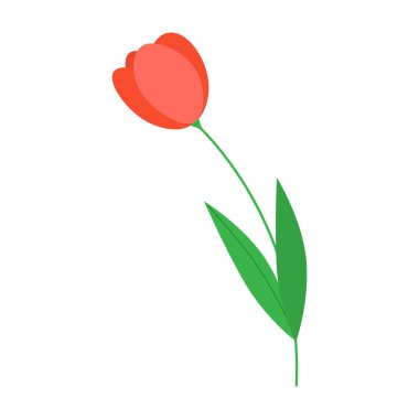 Kırmızı lale ikonu. Çiftçi pazarı logosu. Soyut düz çiçekler. Bahar sezonu. Vektör.