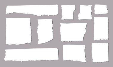 El yapımı yırtık kağıt seti. Mesajlar için boş kâğıt notlar. Kağıt anımsatıcılar için elle çizilmiş düz vektör çizimleri.