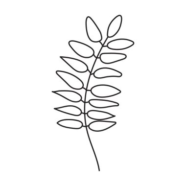 Yapraklı bir şubenin basit çizimi. Rowan yaprağı..