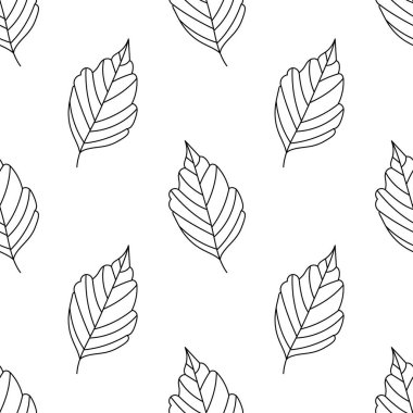 Taslak yaprakların kusursuz deseni. Kül yapraklarının karalama tasarımı. Sonbahar. Vektör.