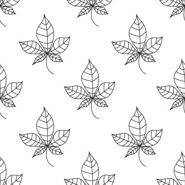 Kestane rengi hatları çiziksiz bırakır. Sonbahar ya da bahar yaprakları karalama tarzında. Beyaz arkaplanda vektör yaprağı ana hatları.