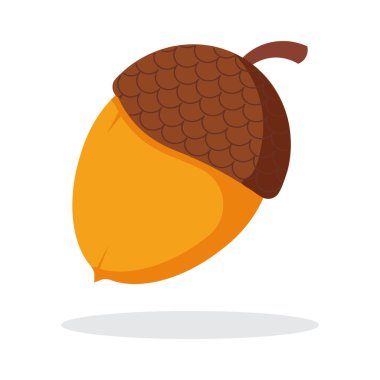 Gölgeli bir mısır. Sonbahar meşe ağacı meyve ikonu. Vektör.