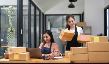 KOBİ projesi için birlikte çalışan iki Asyalı kadın. İşletme Çevrimiçi, KOBİ, Teslimat Projesi 'nin genç sahipleri. Çevrimiçi İş ve Küçük İş Konsepti.