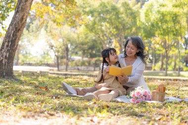 Happy Asian grandmother telling story, reading fairly tales to her adorable granddaughter while picnicking in the beautiful park on the weekend together