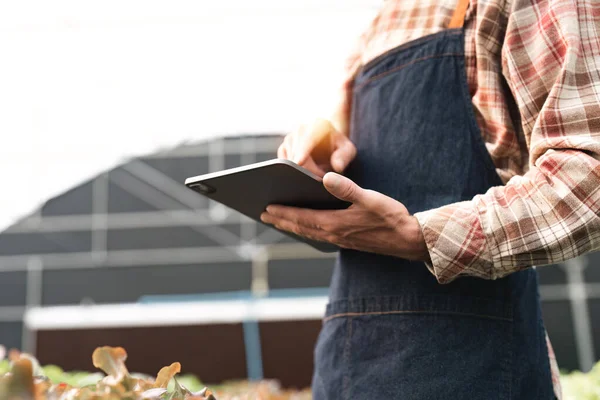 Fechar Mãos Jovens Agricultores Segurando Tablet Verificar Progresso Colheita Estufa — Fotografia de Stock