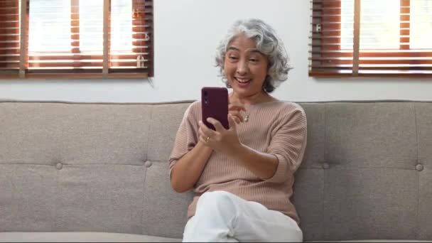 老年妇女手持智能手机 与家人或朋友通过视频通话 — 图库视频影像