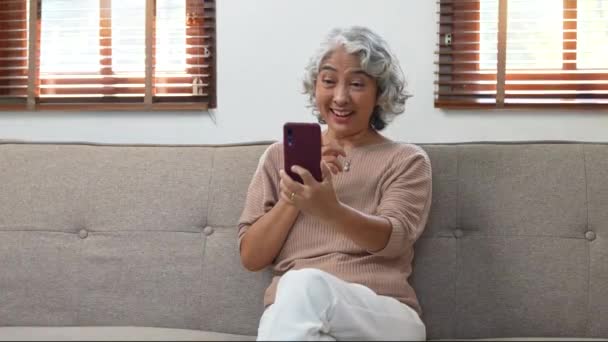 スマートフォンを手に家族や友人とビデオ通話で話す高齢女性 — ストック動画
