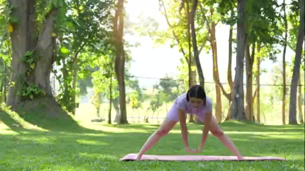 朝のトレーニング前に公園で体を暖めて腕を上げてストレッチする美しい体と編組の筋肉を持つ女性 — ストック動画