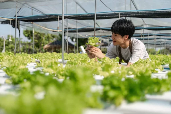 Jardinero Masculino Sonriente Sostiene Jardín Del Invernadero Jóvenes Agricultores Asiáticos —  Fotos de Stock