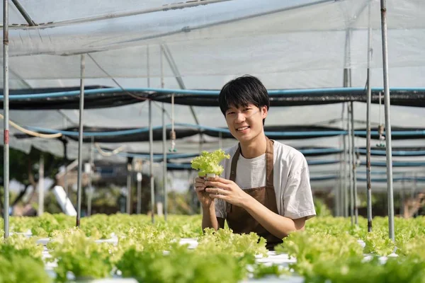 Gardener Masculino Sorridente Prende Jardim Estufa Jovem Agricultor Asiático Colhe — Fotografia de Stock