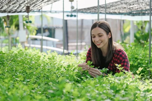 Hermosa Propietaria Granja Femenina Sonriendo Amigable Verdura Orgánica Agricultora Cuidando —  Fotos de Stock