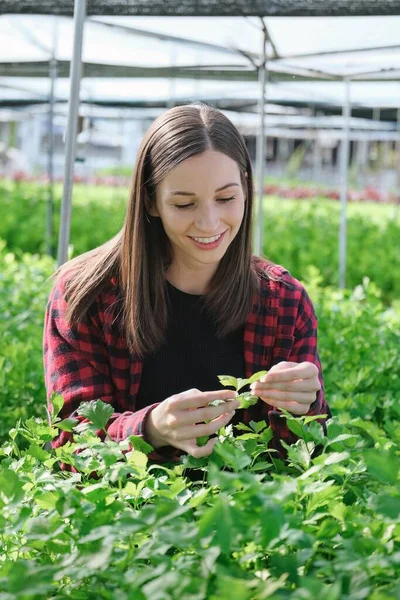 Mooie Vrouwelijke Boerderij Eigenaar Glimlachend Vriendelijk Bij Biologische Groente Vrouw — Stockfoto