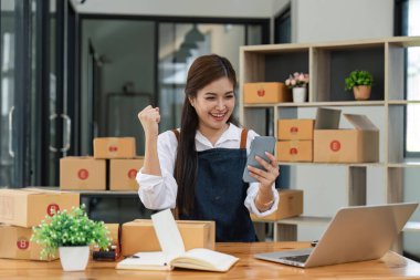 Asyalı kadınlar satış artışıyla başarı kazanıyorlar. Mutlu kadınlar internet üzerinden akıllı telefon uygulaması ile ürün satıyorlar. Çevrimiçi iş hakkında güzel genç bayan işyeri sahibi.