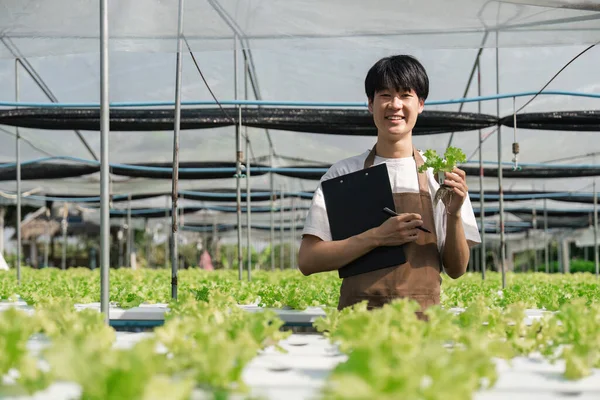 Agricultor Com Verificação Crescimento Agrícola Sustentável Progresso Preparação Ordem Exportação — Fotografia de Stock