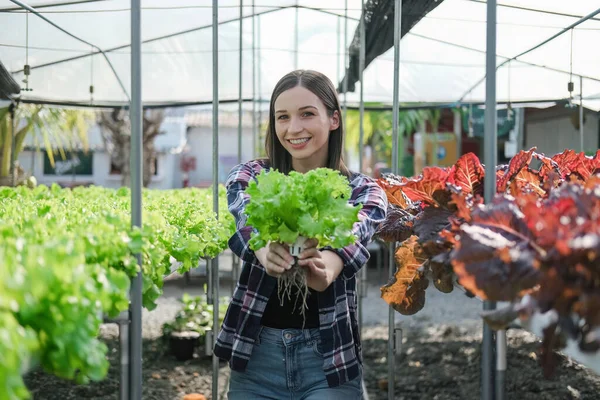 young farmer female smiling and holding mobile smart tablet with hydroponic fresh green vegetables produce in greenhouse garden nursery farm, smart farming, agriculture business concept.