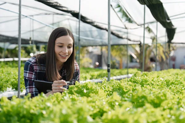 Greenhouse, agriculture and woman with vegetables growth checklist, agro business development and portrait. gardening and sustainability person with portfolio for inspection and smile.