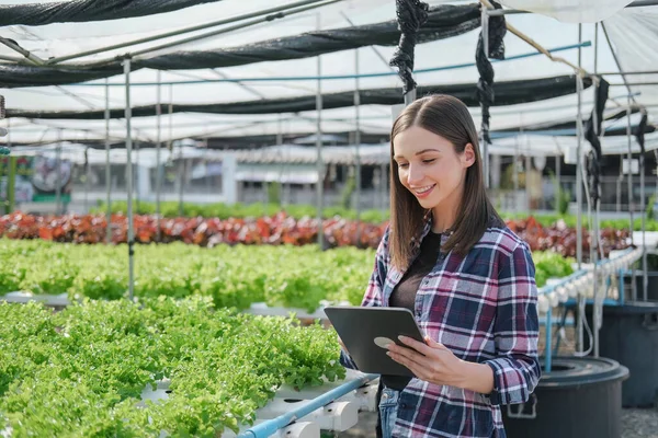 Kas Landbouw Vrouw Met Groente Groei Checklist Agro Business Development — Stockfoto