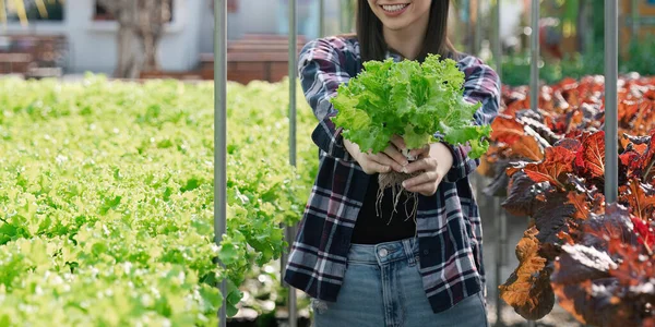 Agricultor Fêmea Sorrindo Segurando Legumes Com Produtos Verdes Frescos Hidropônicos — Fotografia de Stock