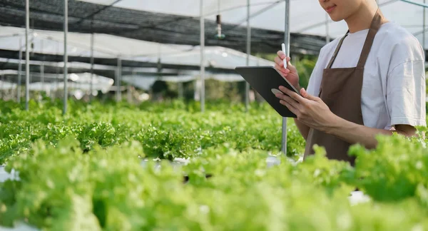 Fazendeiro Plantação Verificação Qualidade Por Tablet Agricultura Moderna Tecnologia Conceito — Fotografia de Stock