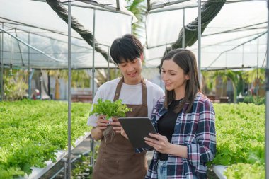 Serada serada erkek ve kadın tarımı tablet kullanarak organik tarım kavramı.
