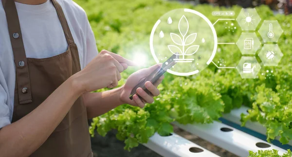 农民手持智能手机 生产蔬菜控制 概念农产品控制技术 对农业未来世界贸易市场 跟踪生产力 农业卫星 — 图库照片